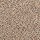 Mohawk Carpet: Tectonic Flannel